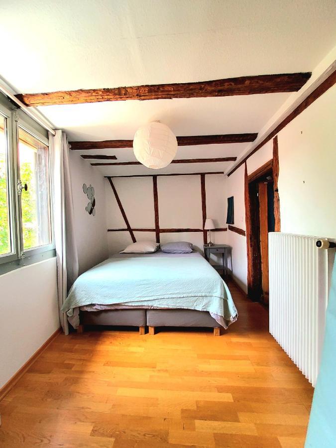 Gite Classe "Le Tilleul" Colmar Kültér fotó
