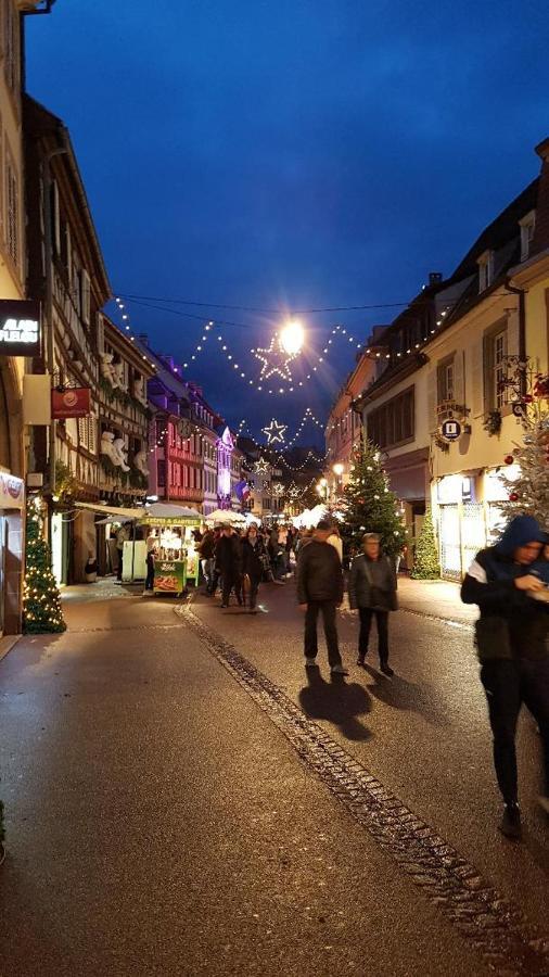 Gite Classe "Le Tilleul" Colmar Kültér fotó