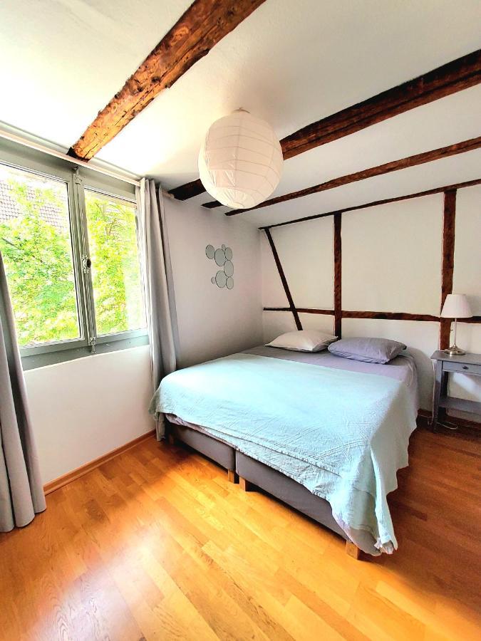 Gite Classe "Le Tilleul" Colmar Kültér fotó